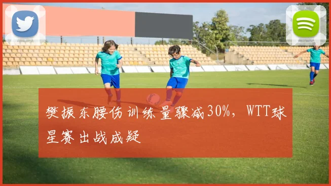 樊振东腰伤训练量骤减30%,WTT球星赛出战成疑
